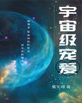 宇宙級寵愛最新章節列表,宇宙級寵愛全文閱讀